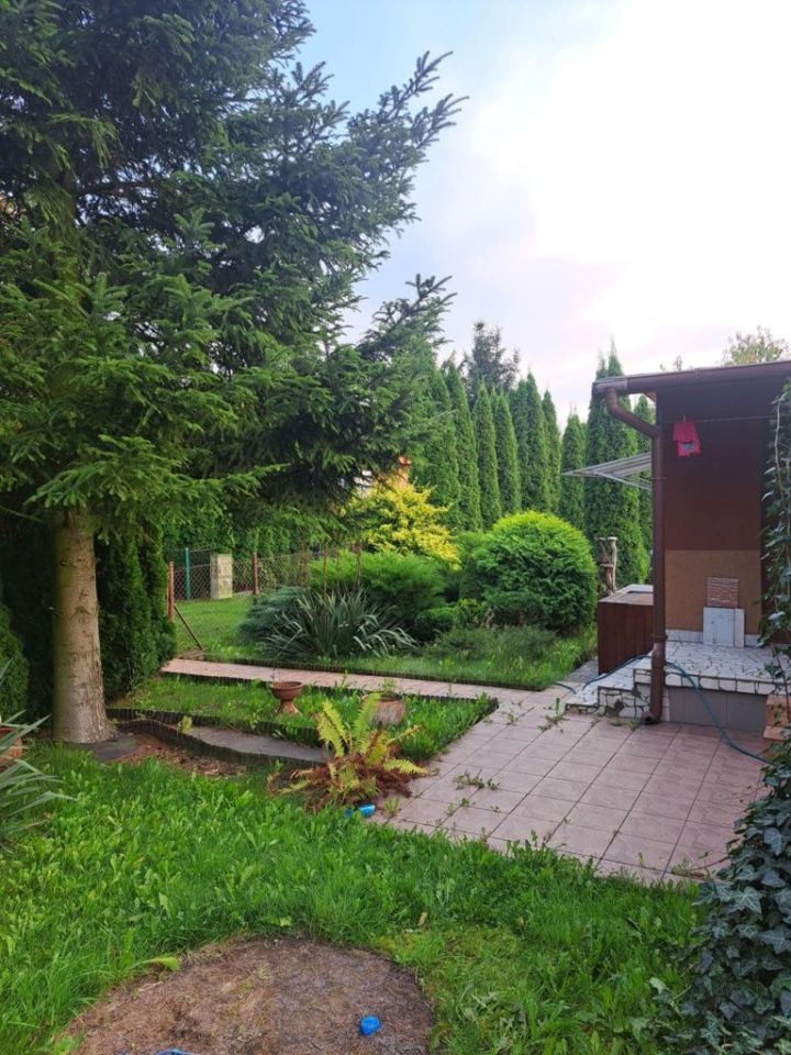 Działka rod Sosnowiec Klimontów. Zdjęcie 7