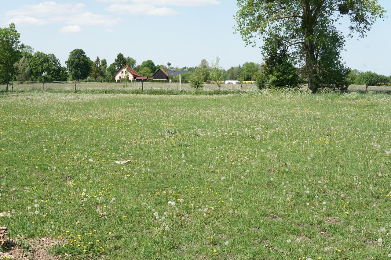 Działka rolno-budowlana Jezioro. Zdjęcie 8