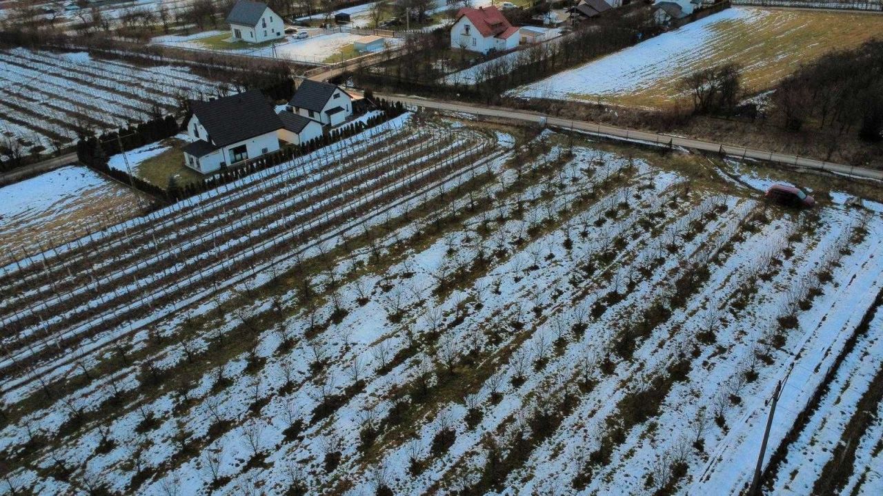 Działka inwestycyjna Łącko. Zdjęcie 6