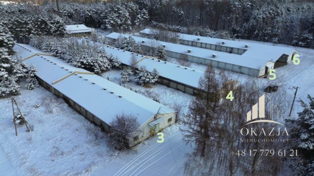 Działka inwestycyjna Wysoka Głogowska. Zdjęcie 6