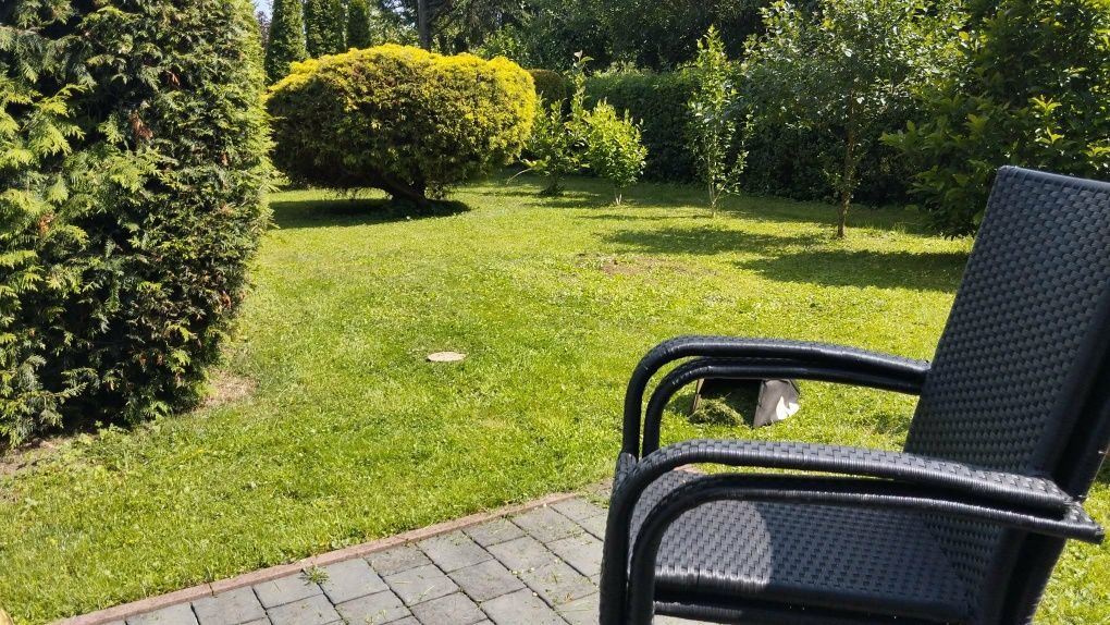 Działka rod Legnica. Zdjęcie 2