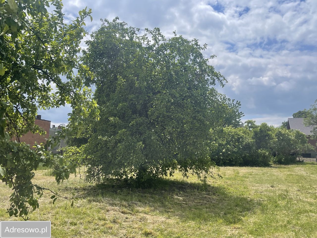 dom wolnostojący, 3 pokoje Makowiska, ul. Radomszczańska. Zdjęcie 8