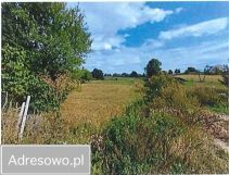 Działka rolno-budowlana Gałkowo. Zdjęcie 3