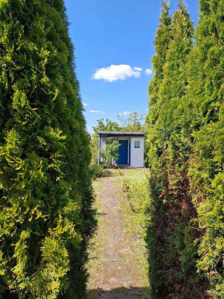 Działka rod Nowa Wieś. Zdjęcie 4