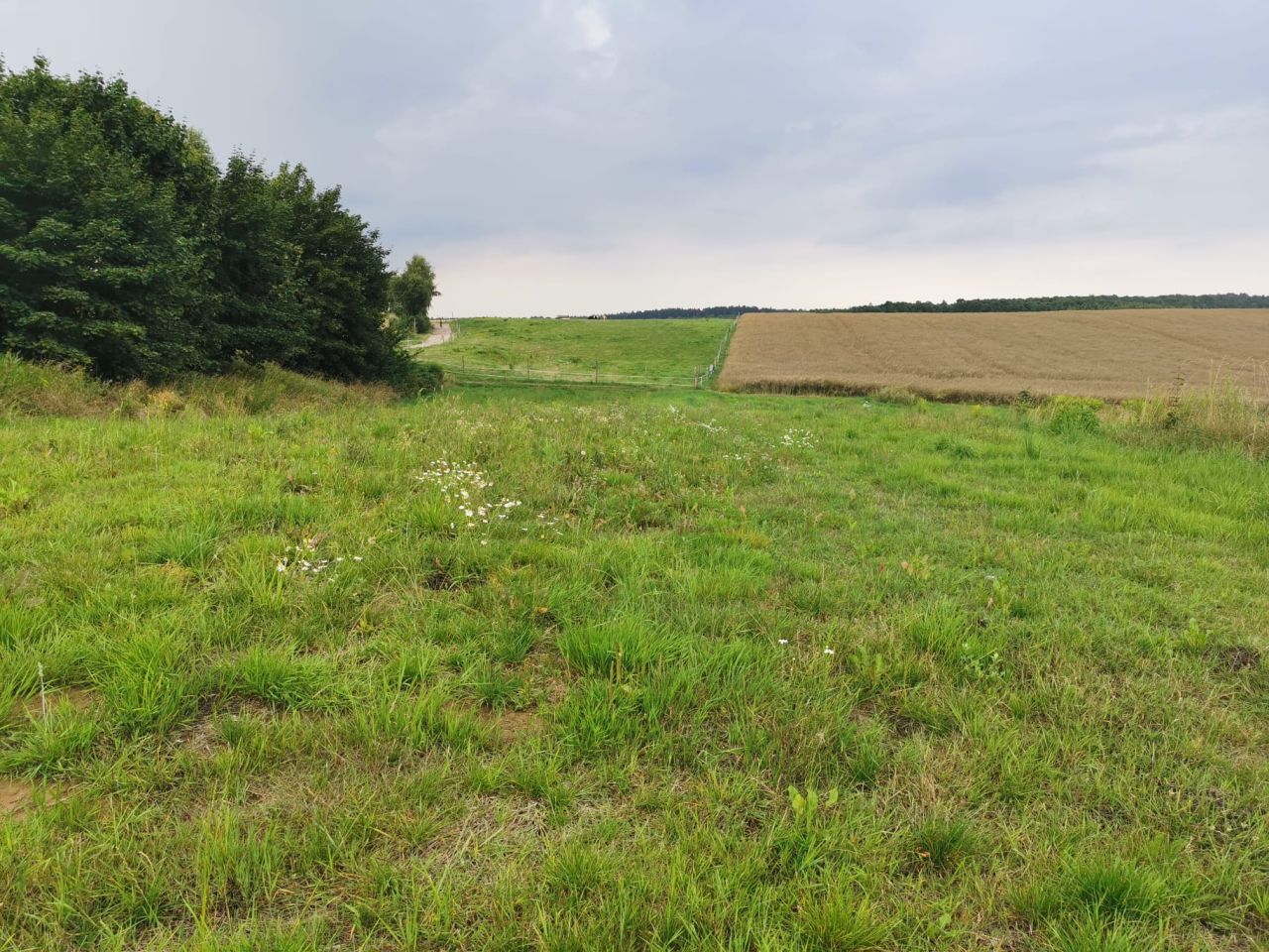 Działka budowlana Nowa Góra, ul. Trakt Olkuski. Zdjęcie 5