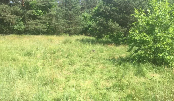 Działka budowlana Otwock Mlądz, ul. Krecia