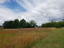 Działka budowlana Paszczyna. Zdjęcie 1