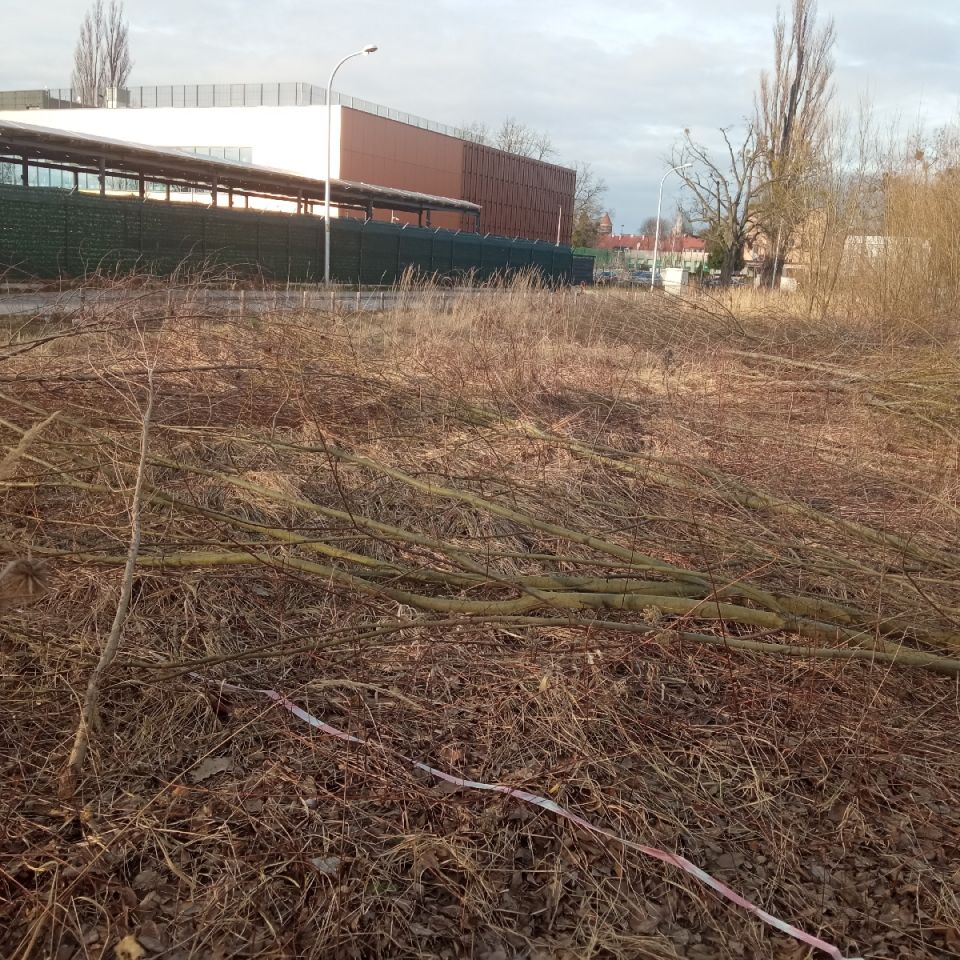 Działka budowlana Wrocław Brochów, ul. Polna. Zdjęcie 3