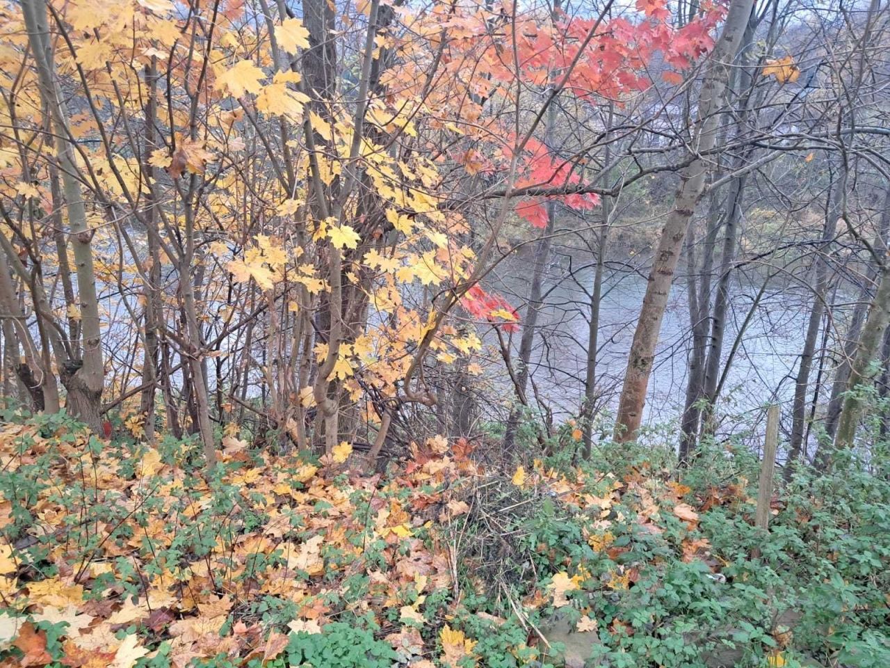 Działka budowlana Tylmanowa. Zdjęcie 5