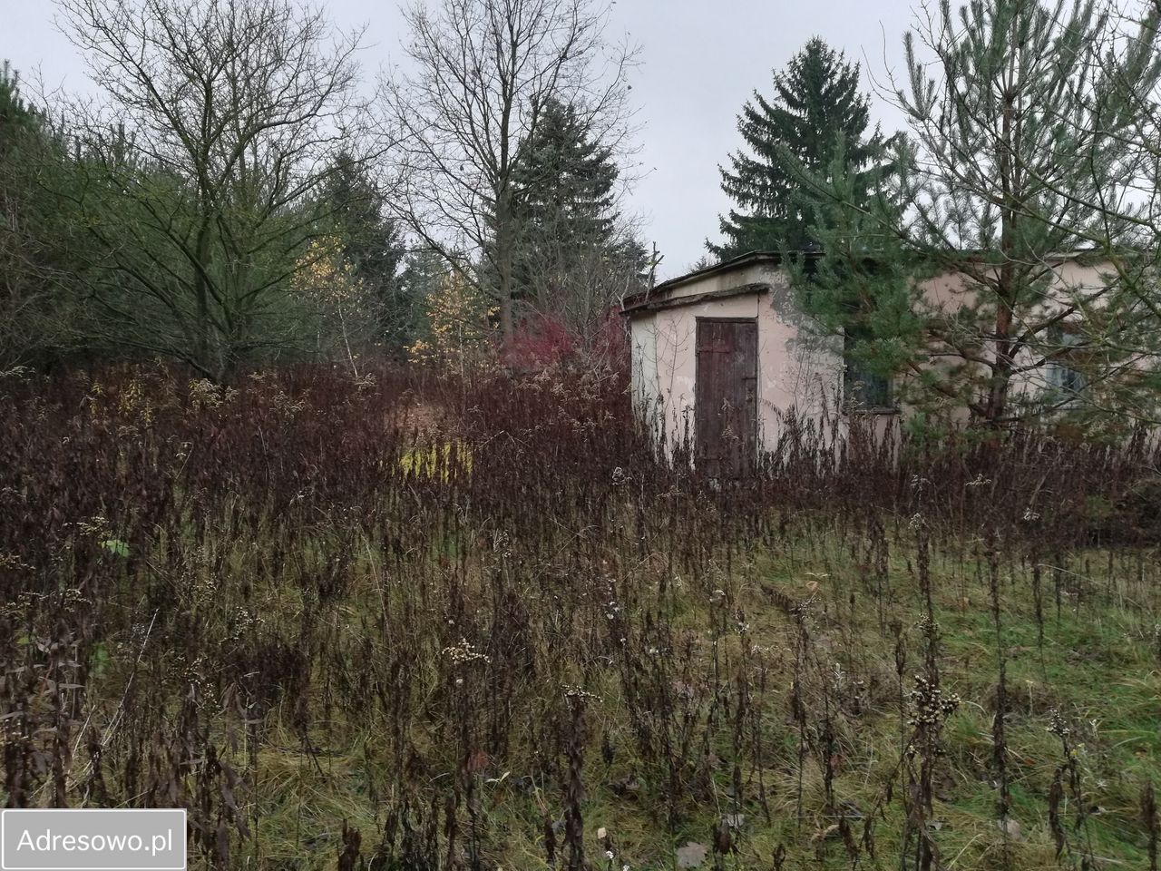 gospodarstwo Wymysły, ul. Aroniowa. Zdjęcie 2