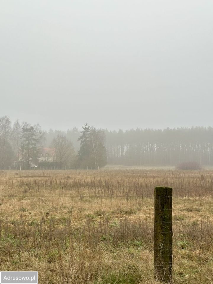 Działka budowlana Zatom Nowy