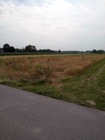 Działka budowlana Zbuczyn, ul. Graniczna. Zdjęcie 1