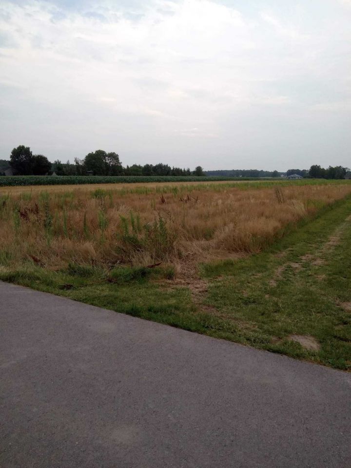 Działka budowlana Zbuczyn, ul. Graniczna. Zdjęcie 1