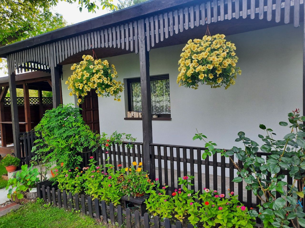 Działka rekreacyjna Sosnowiec, ul. Kombajnistów