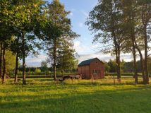 dom letniskowy, 3 pokoje Nowa Jedlanka. Zdjęcie 3