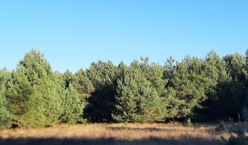 Działka rekreacyjna Krzywnica