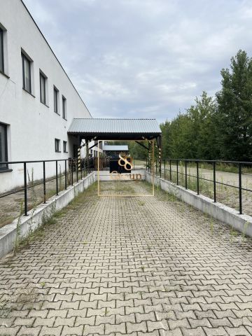 Hala/magazyn Kosewo. Zdjęcie 13