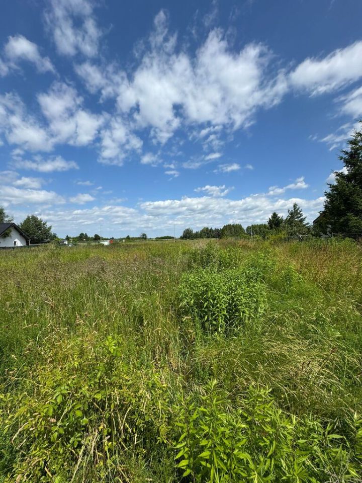 Działka budowlana Wilczkowice. Zdjęcie 8