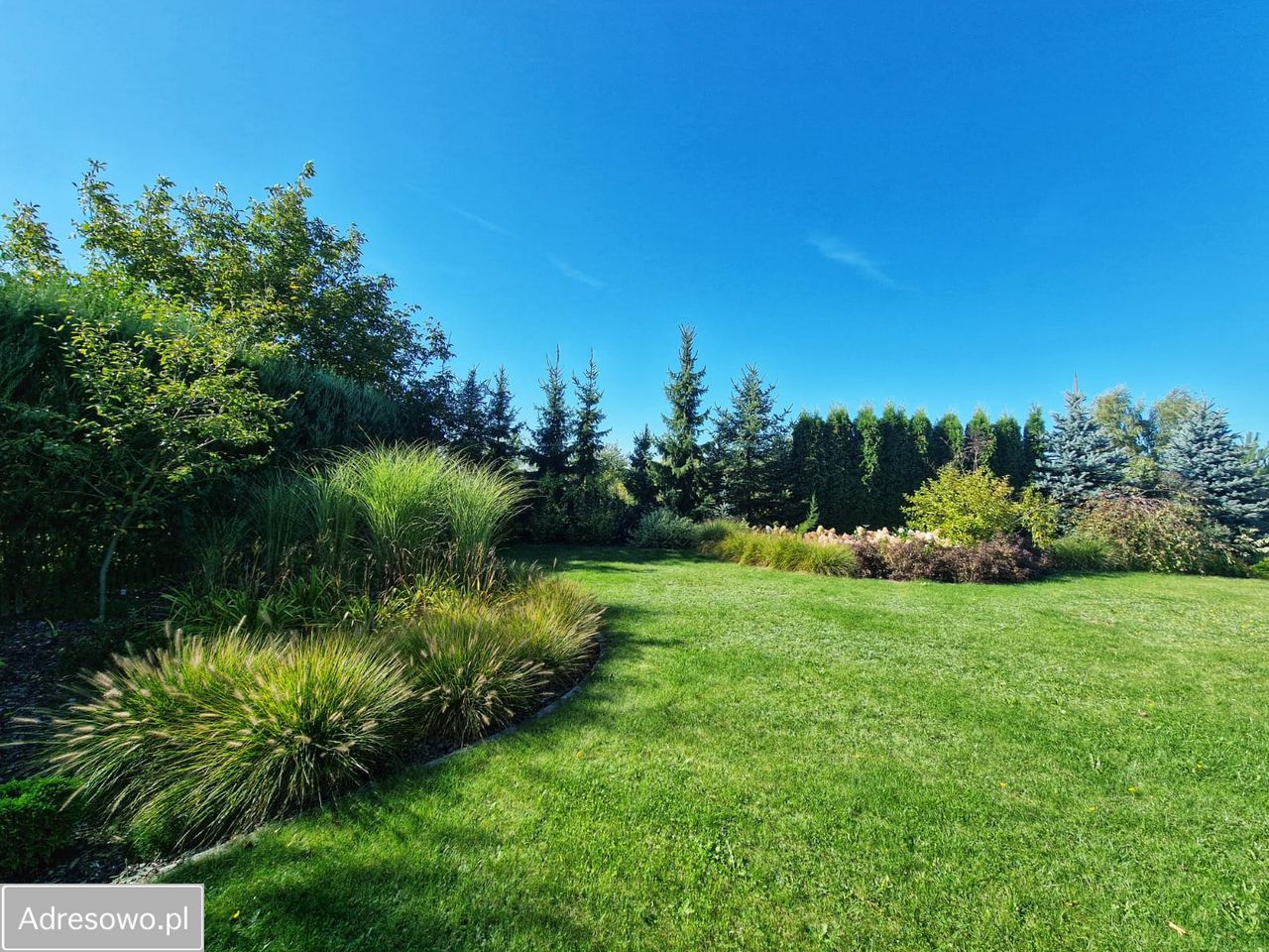 dom wolnostojący, 5 pokoi Nieciszów. Zdjęcie 16