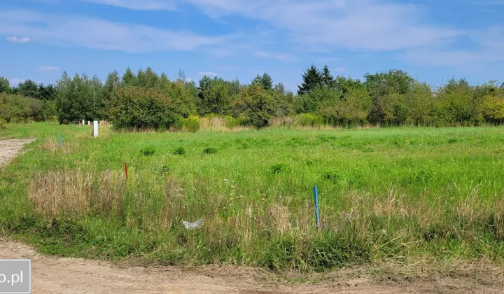 Działka budowlana Katarzynki, ul. Astrowa