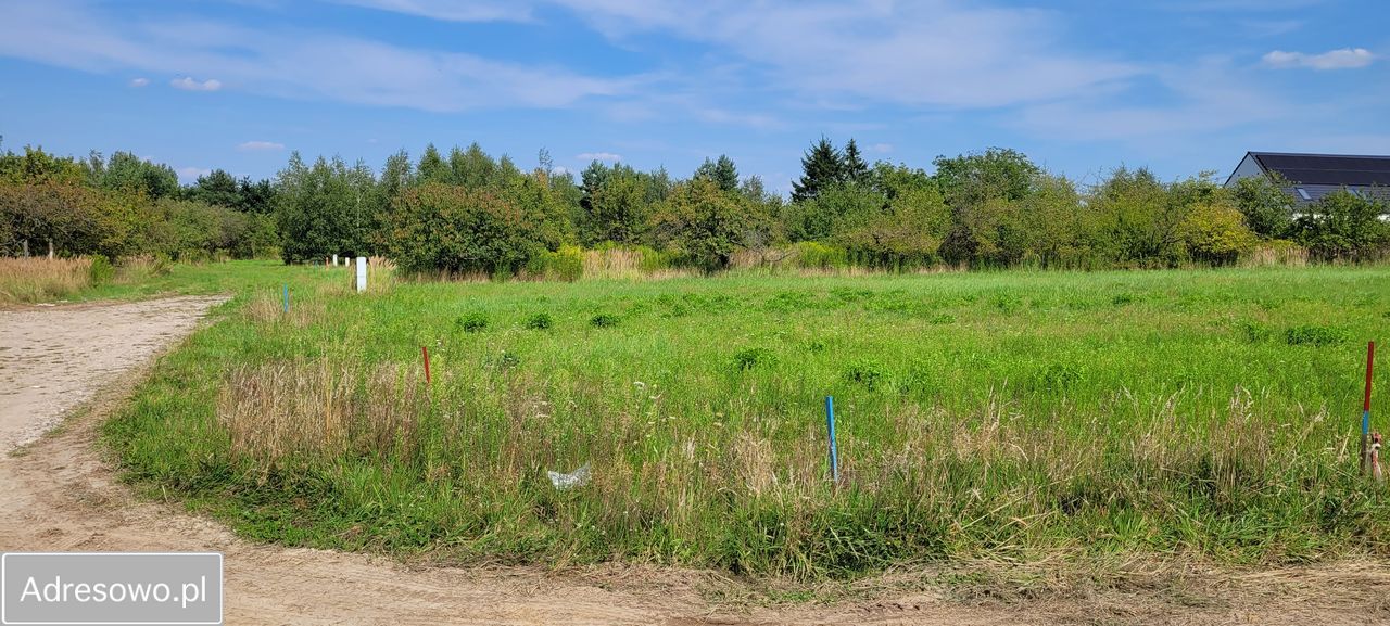 Działka budowlana Katarzynki, ul. Astrowa. Zdjęcie 1