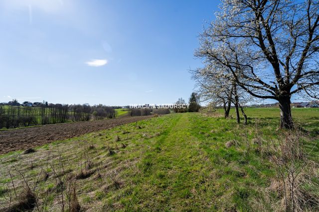 Działka rolna Sławkowice. Zdjęcie 16