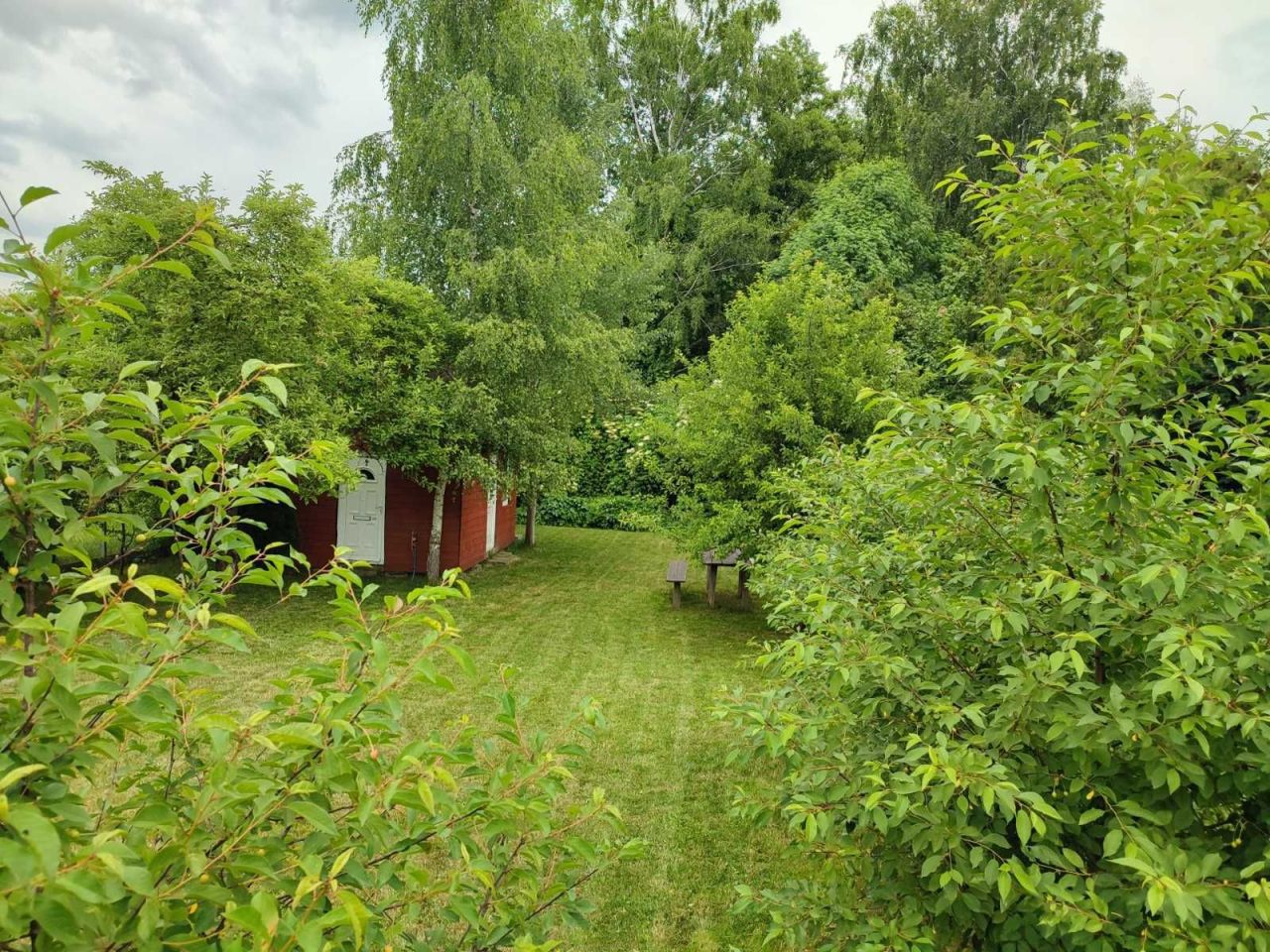 Działka rod Białystok Centrum, ul. Konstantego Ciołkowskiego. Zdjęcie 4