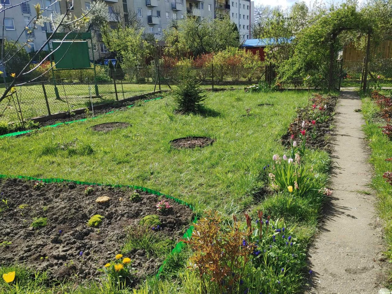 Działka rod Wrocław Psie Pole, ul. Henryka Michała Kamieńskiego. Zdjęcie 3