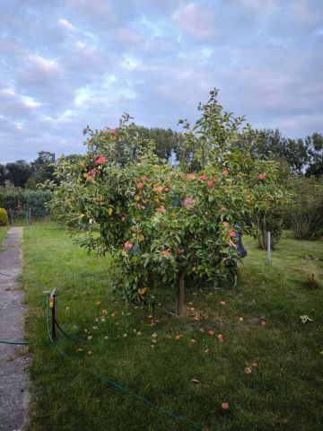 Działka rod Słubice. Zdjęcie 1