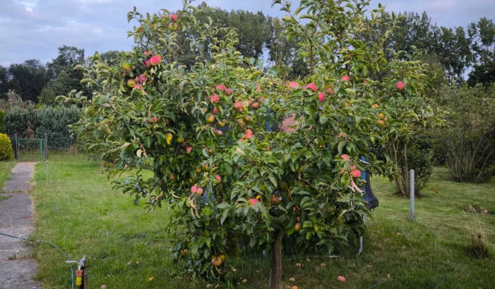 Działka rod Słubice