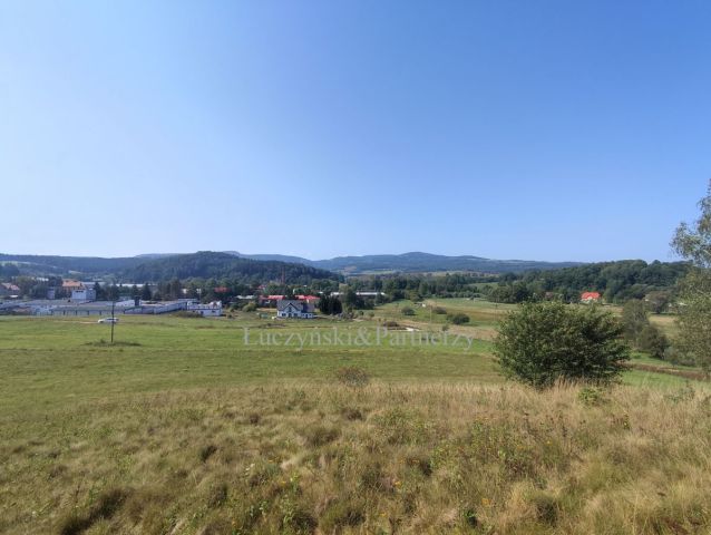 Działka inwestycyjna Marciszów. Zdjęcie 5