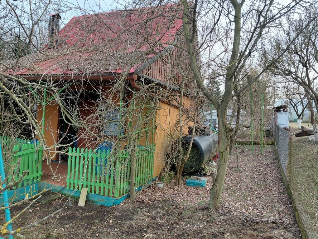 Działka rod Gryfino. Zdjęcie 4