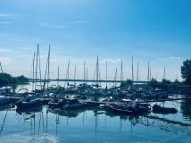 Działka rekreacyjna Pęczniew. Zdjęcie 3