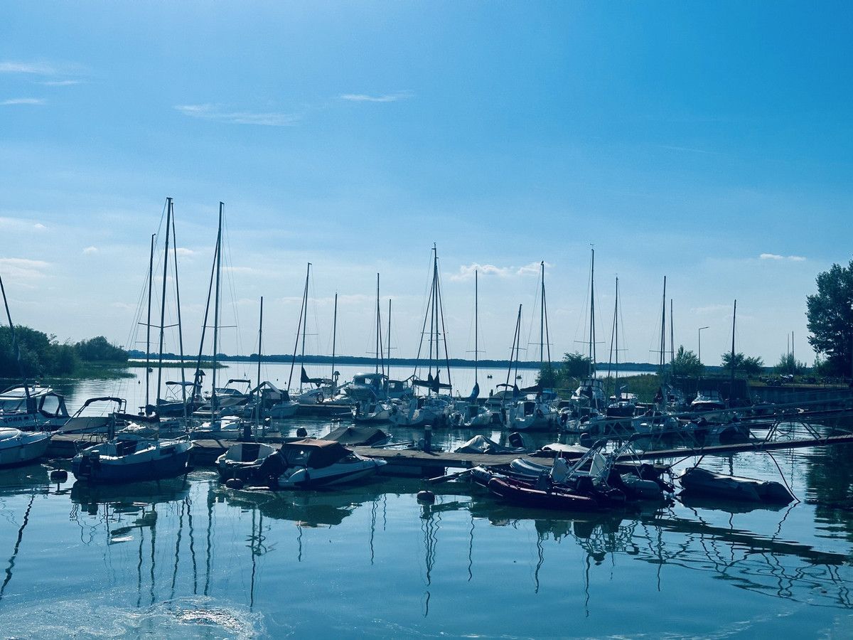 Działka rekreacyjna Pęczniew. Zdjęcie 4