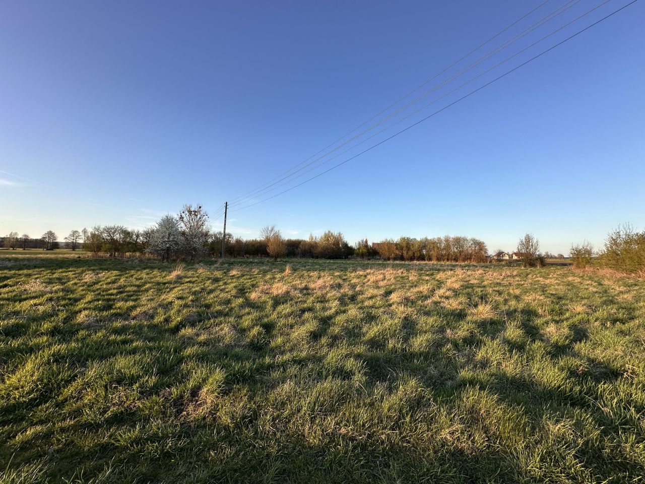 Działka budowlana Przynotecko. Zdjęcie 9