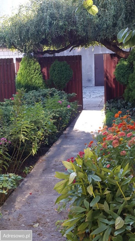 kamienica Warka Centrum, pl. Stefana Czarnieckiego. Zdjęcie 12