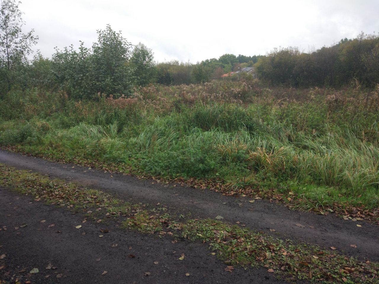 Działka budowlana Spała, ul. Władysława Komara. Zdjęcie 2