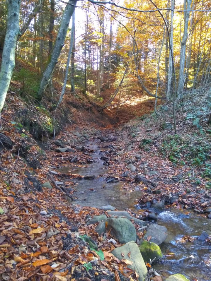 Działka siedliskowa Krzywe. Zdjęcie 4