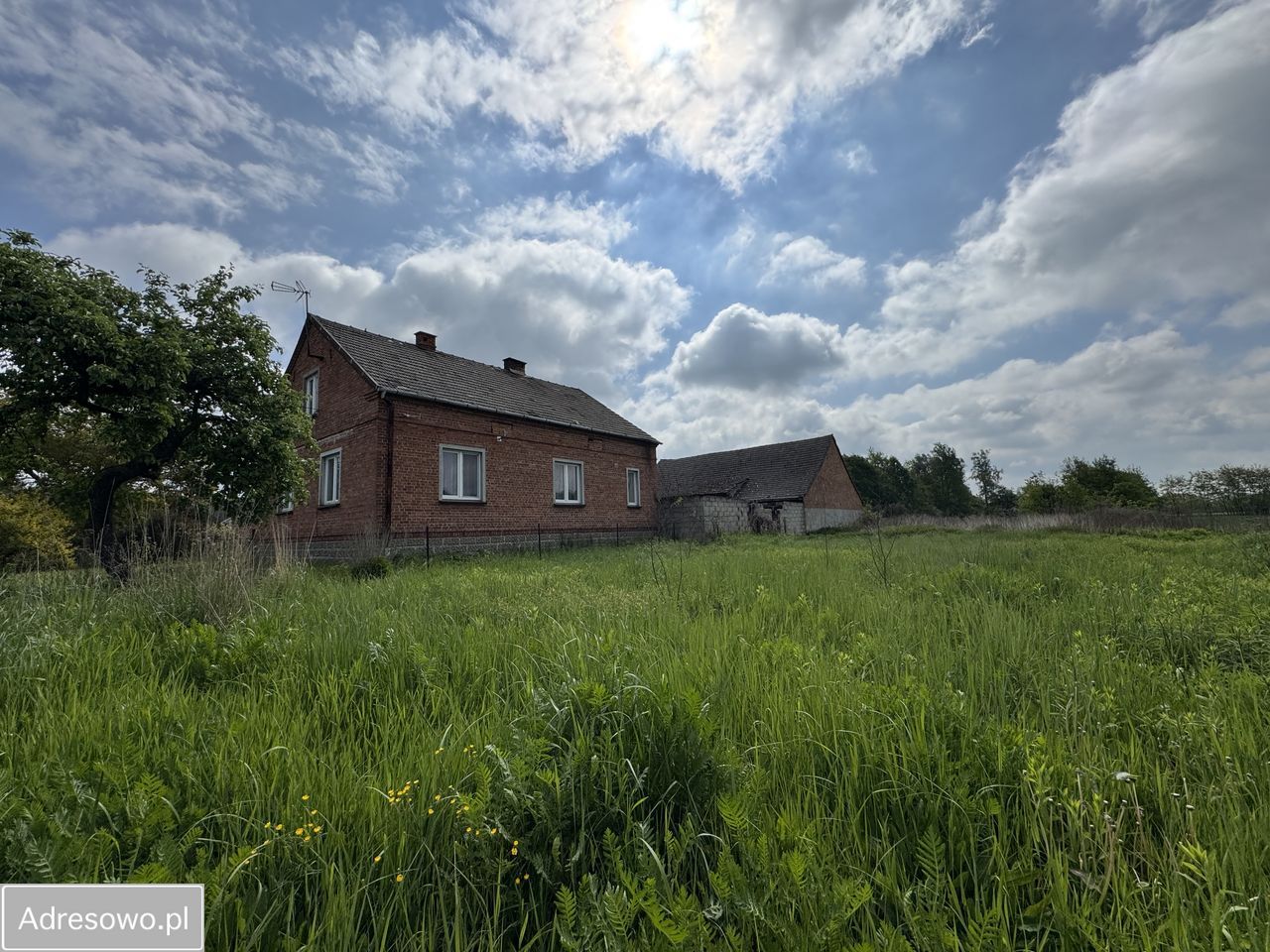 gospodarstwo, 3 pokoje Szafranów. Zdjęcie 5