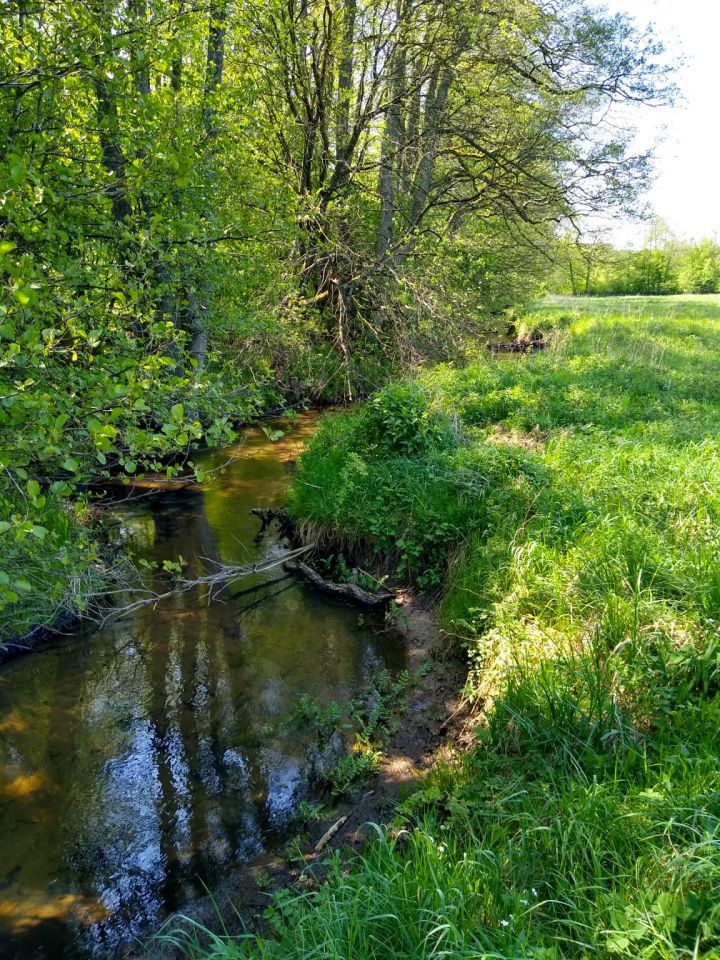 Działka siedliskowa Bożepole Wielkie. Zdjęcie 7