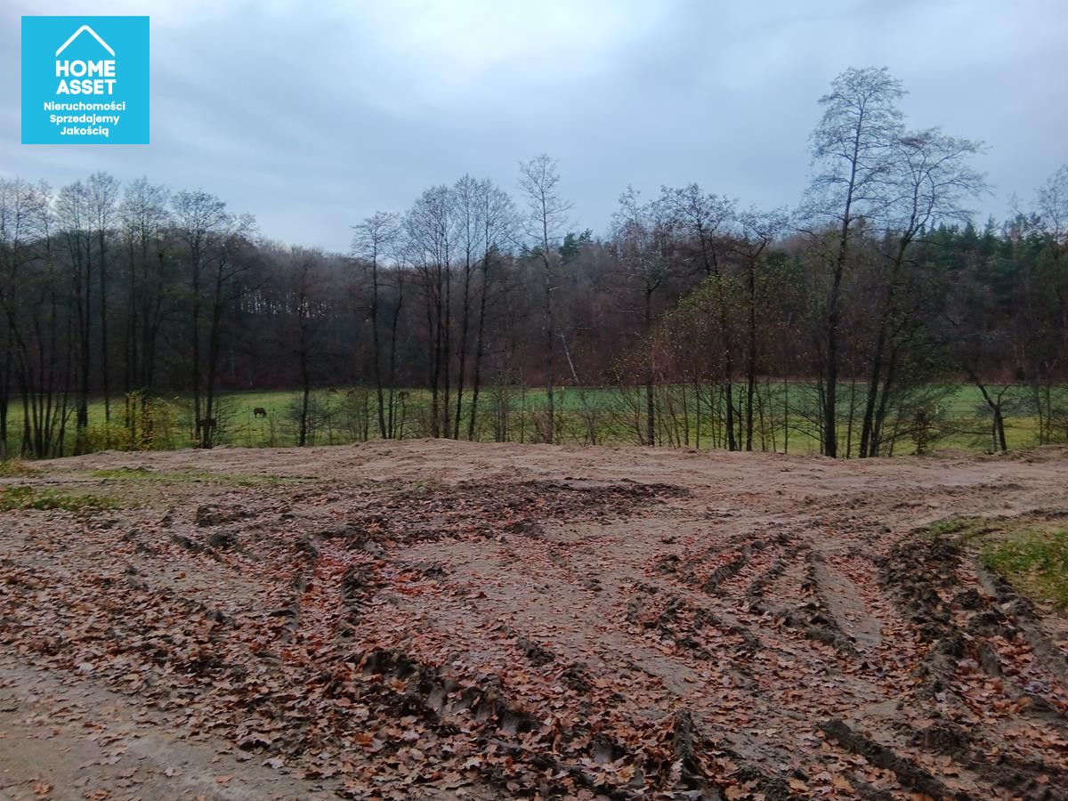 Działka budowlana Przetoczyno. Zdjęcie 11