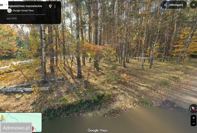 Działka rolna Wólka Kokosia. Zdjęcie 1