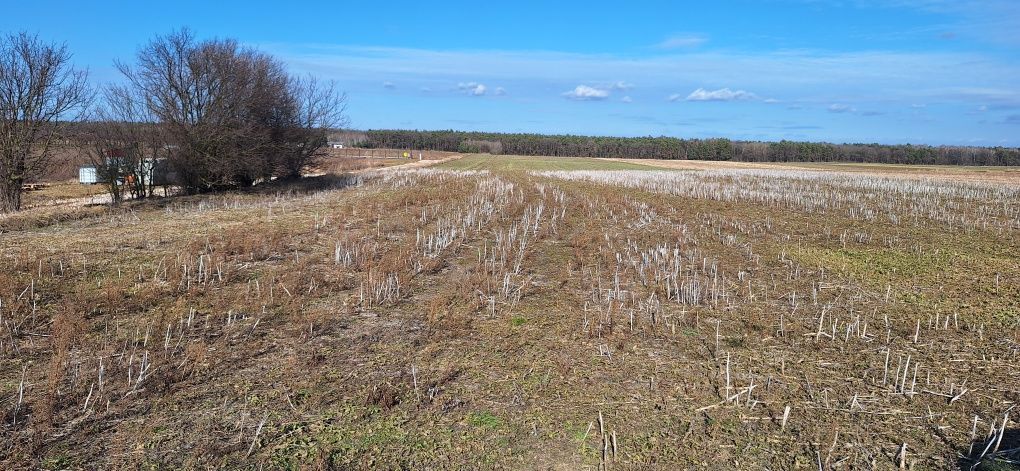 Działka budowlana Charlęż. Zdjęcie 4