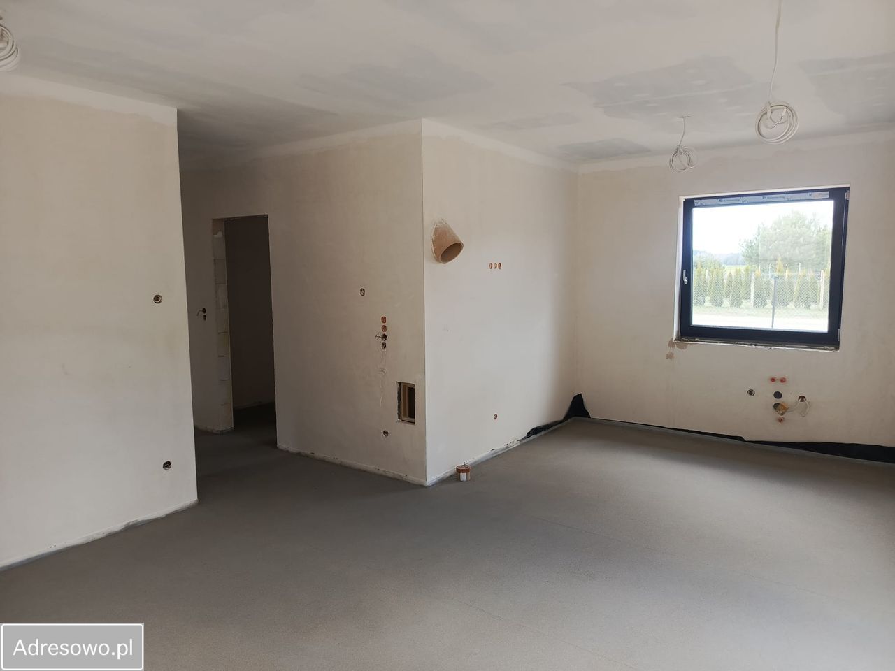 bliźniak Łacha. Zdjęcie 5