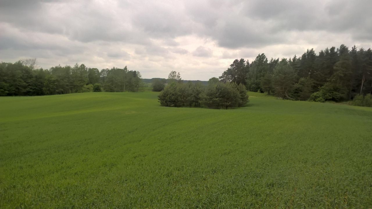 Działka rekreacyjna Stare Juchy, ul. Mazurska. Zdjęcie 7