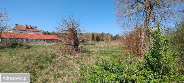 Działka budowlana Osina. Zdjęcie 1