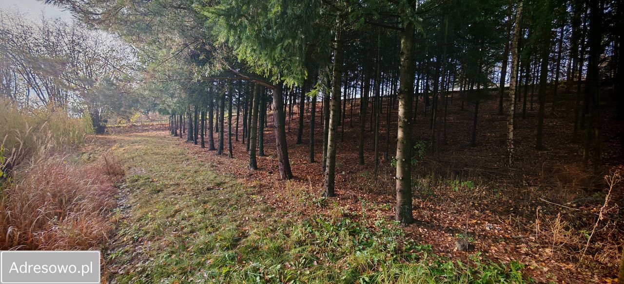 dom wolnostojący, 4 pokoje Gajewo. Zdjęcie 8