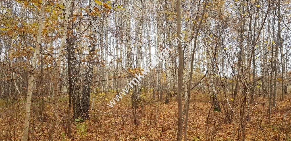 Działka budowlana Holendry Baranowskie. Zdjęcie 7