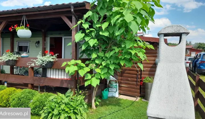 dom wolnostojący, 3 pokoje Niewiesze, ul. Rzeczna