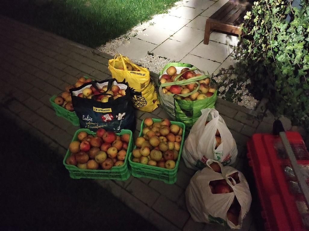 Działka rekreacyjna Toruń Rudak, ul. Rudacka. Zdjęcie 7